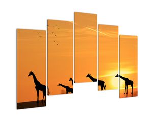 Tablou modern - girafe