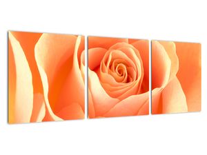 Tablou - trandafiri portocalii