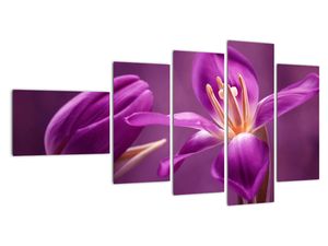 Tablou modern