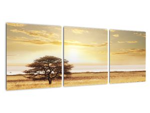 Tablou modern