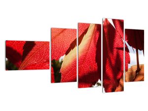 Tablou modern