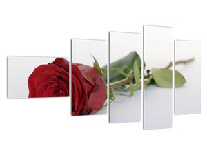 Tablou modern
