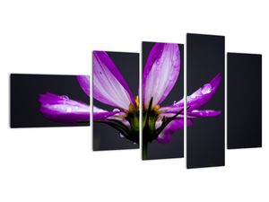 Tablou modern