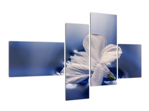 Tablou modern