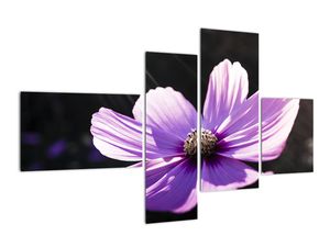 Tablou modern