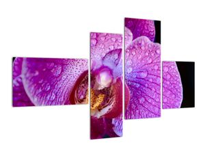 Tablou modern