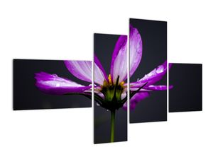 Tablou modern