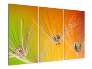 Tablou modern