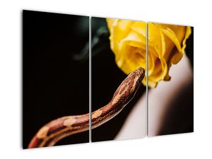 Tablou modern