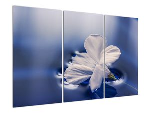 Tablou modern