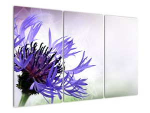 Tablou modern