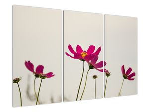 Tablou modern
