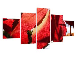 Tablou modern