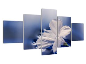 Tablou modern