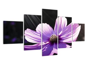 Tablou modern