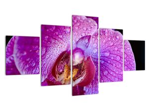 Tablou modern