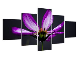 Tablou modern