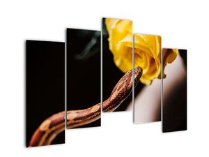 Tablou modern