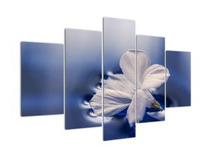Tablou modern