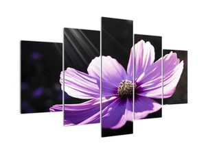 Tablou modern