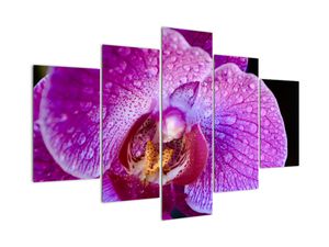 Tablou modern