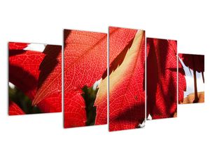 Tablou modern