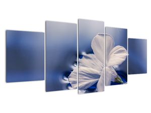 Tablou modern