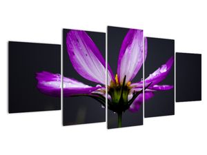 Tablou modern