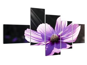 Tablou modern
