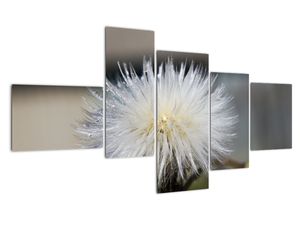 Tablou modern