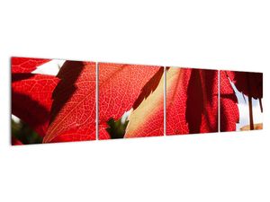 Tablou modern