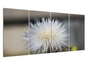 Tablou modern