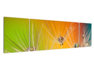 Tablou modern
