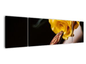 Tablou modern