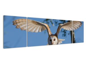 Tablou modern