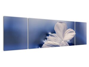 Tablou modern