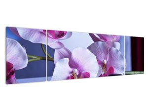 Tablou modern