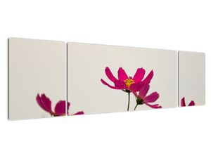 Tablou modern