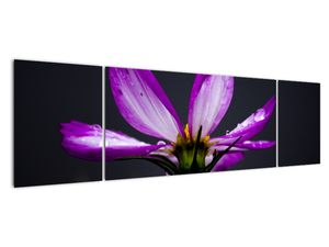 Tablou modern