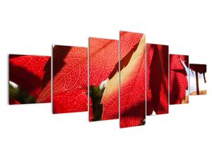 Tablou modern