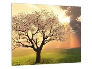 Tablou modern