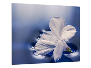 Tablou modern