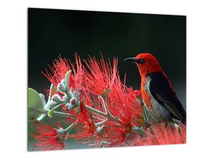 Tablou modern