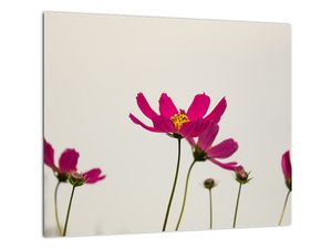 Tablou modern