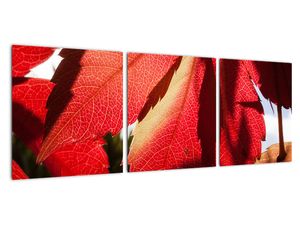 Tablou modern