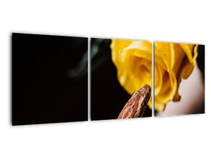 Tablou modern