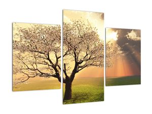 Tablou modern