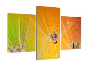 Tablou modern