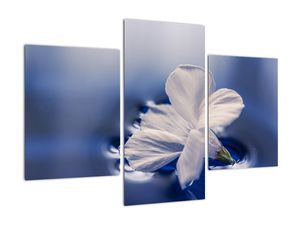 Tablou modern