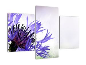 Tablou modern